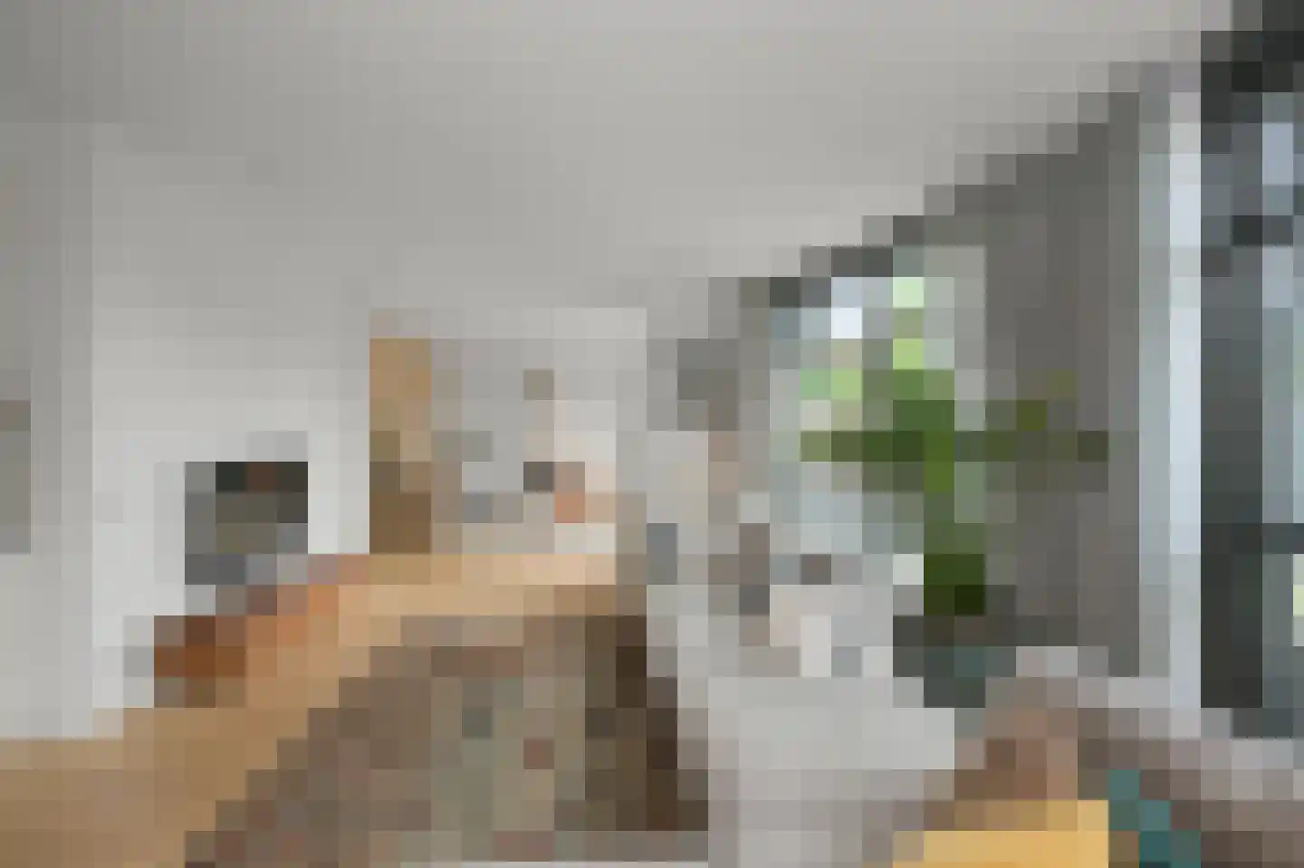 J M van der Meystraat 57 Assendelft thumbnail 15