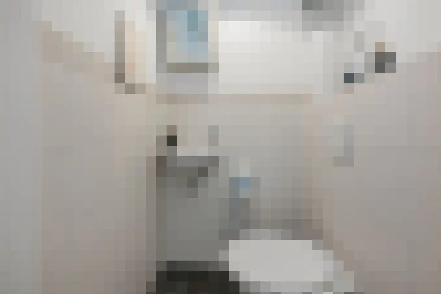 J M van der Meystraat 57 Assendelft thumbnail 21