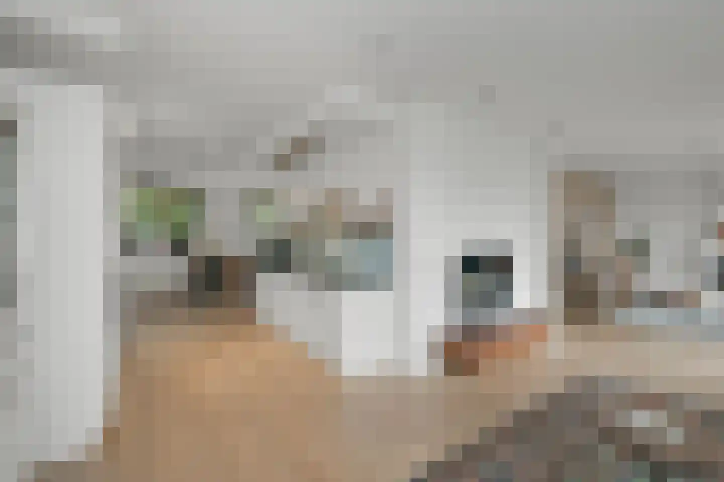 J M van der Meystraat 57 Assendelft thumbnail 4