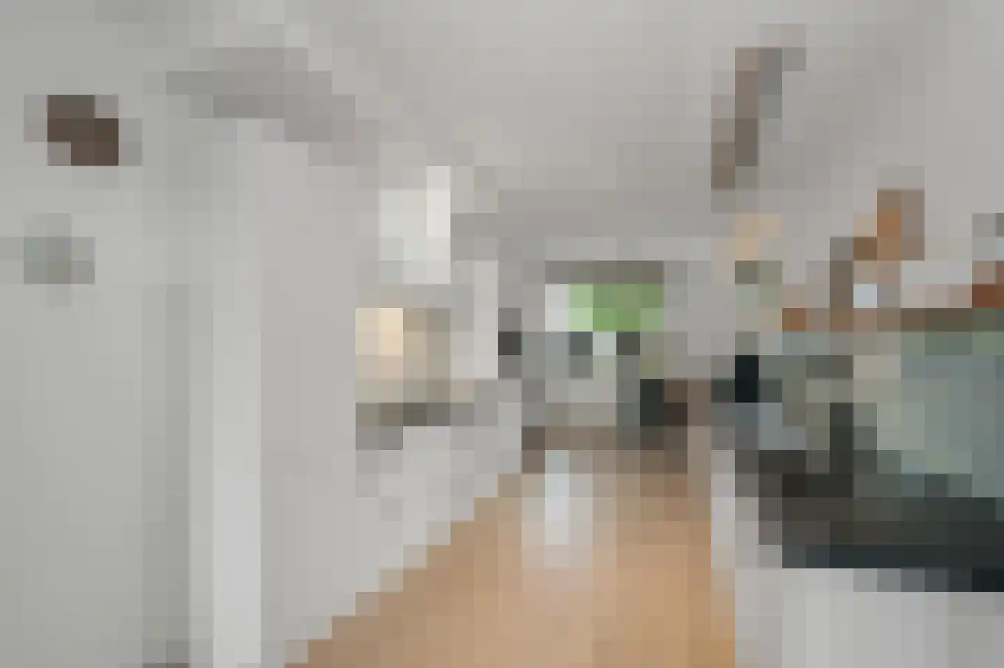 J M van der Meystraat 57 Assendelft thumbnail 5