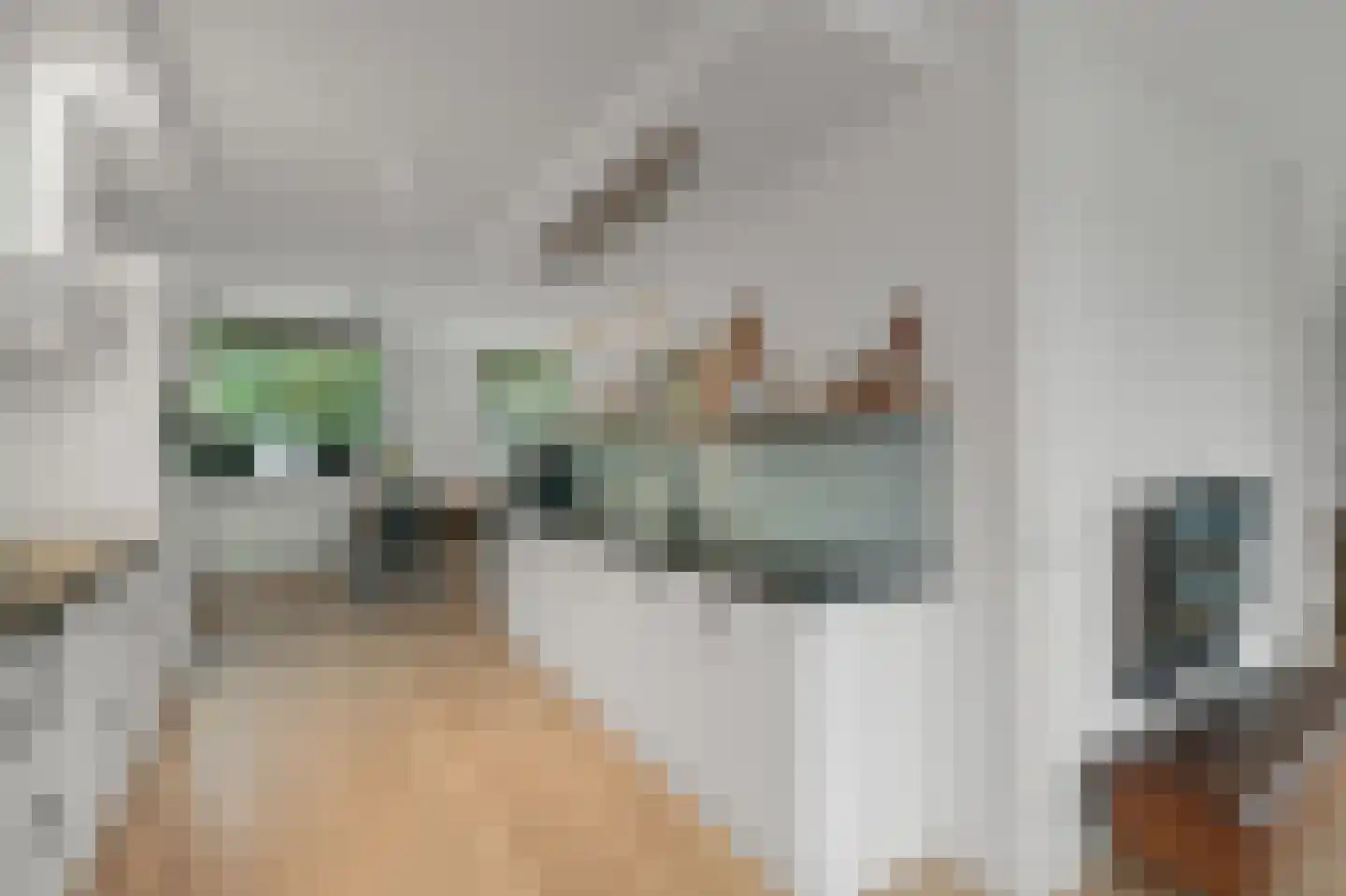 J M van der Meystraat 57 Assendelft thumbnail 6
