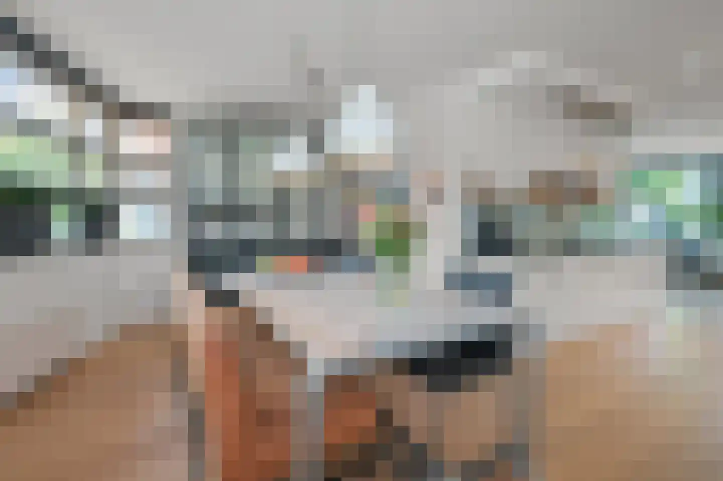 J M van der Meystraat 57 Assendelft thumbnail 9