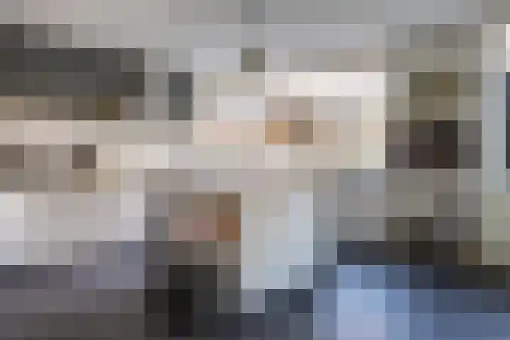 J M van der Meystraat 79 Assendelft thumbnail 15