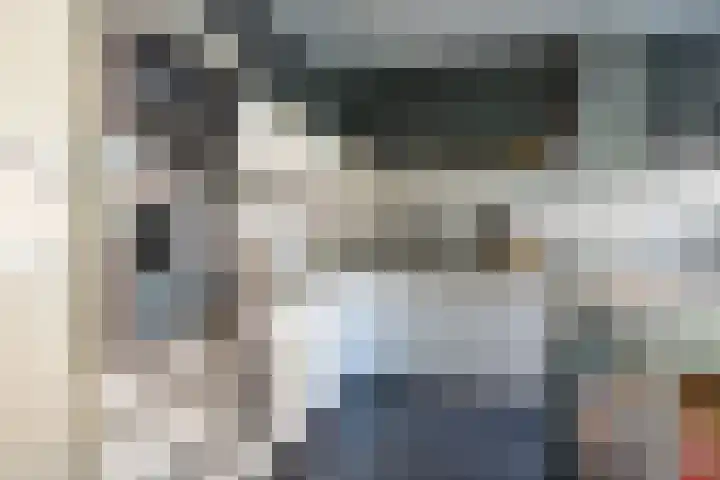 J M van der Meystraat 79 Assendelft thumbnail 16