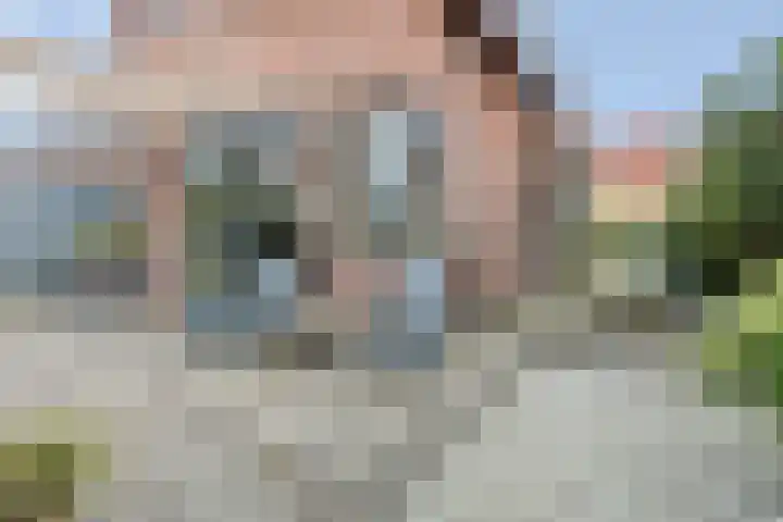 J M van der Meystraat 79 Assendelft thumbnail 21