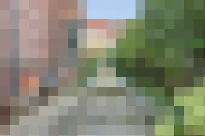 J M van der Meystraat 79 Assendelft thumbnail 22