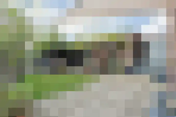J M van der Meystraat 79 Assendelft thumbnail 23