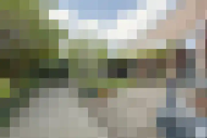 J M van der Meystraat 79 Assendelft thumbnail 24