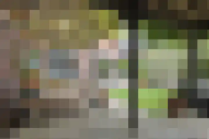J M van der Meystraat 79 Assendelft thumbnail 31
