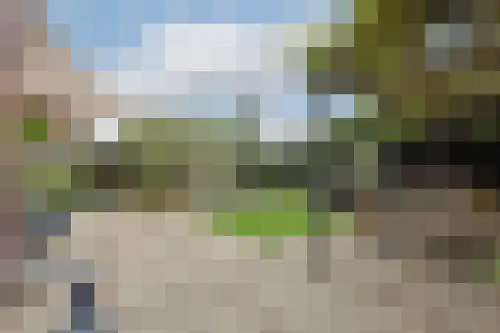 J M van der Meystraat 79 Assendelft thumbnail 32