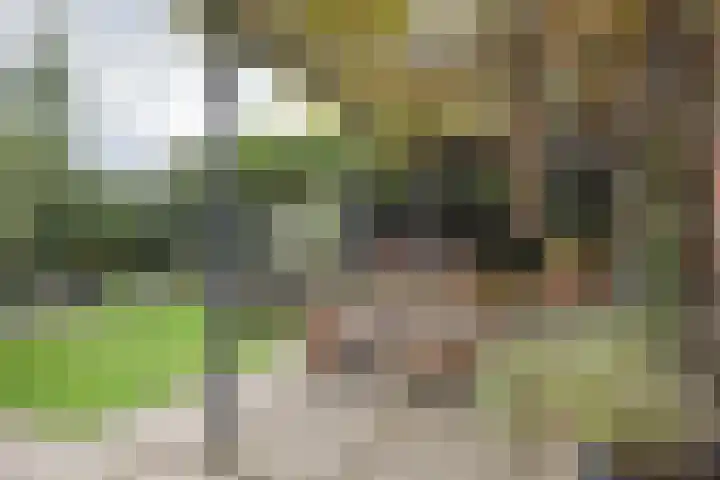 J M van der Meystraat 79 Assendelft thumbnail 33