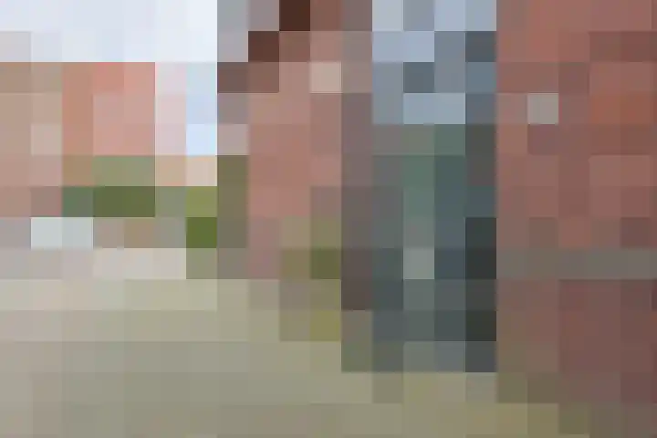J M van der Meystraat 79 Assendelft thumbnail 4