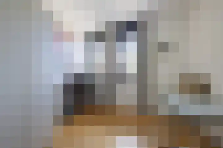 J M van der Meystraat 79 Assendelft thumbnail 41