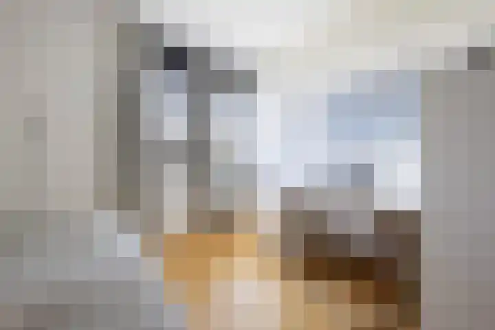 J M van der Meystraat 79 Assendelft thumbnail 43