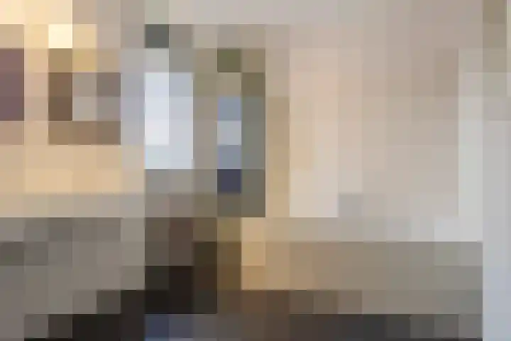 J M van der Meystraat 79 Assendelft thumbnail 47