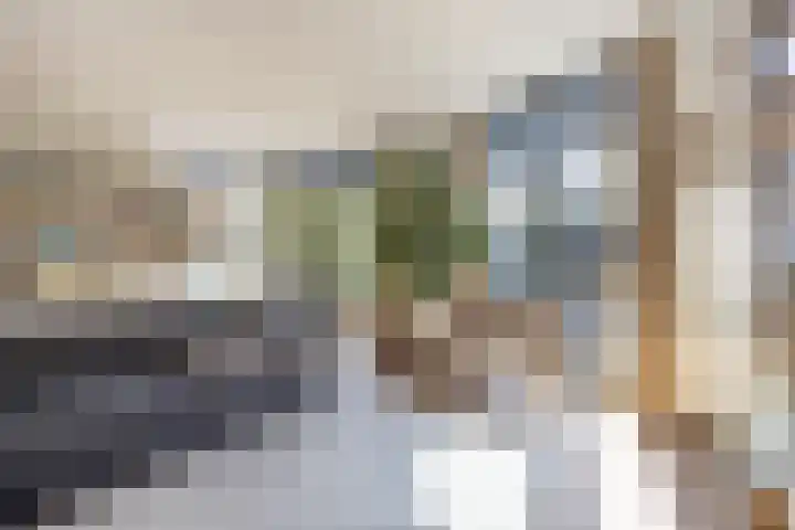 J M van der Meystraat 79 Assendelft thumbnail 5