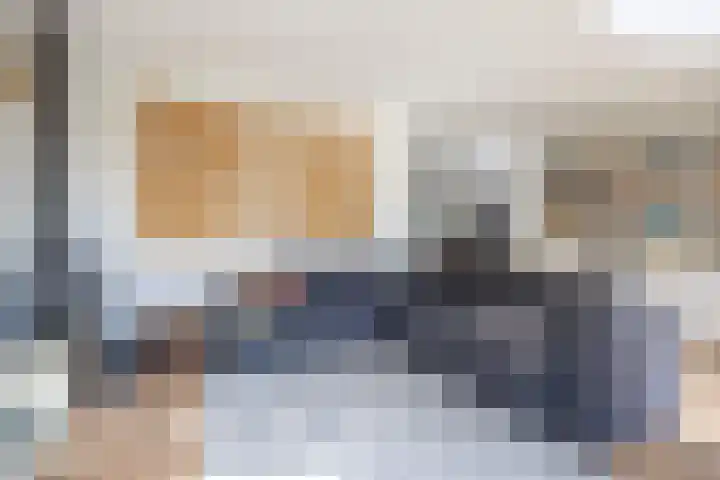J M van der Meystraat 79 Assendelft thumbnail 6