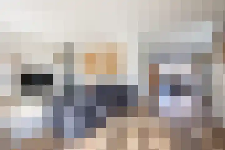 J M van der Meystraat 79 Assendelft thumbnail 8