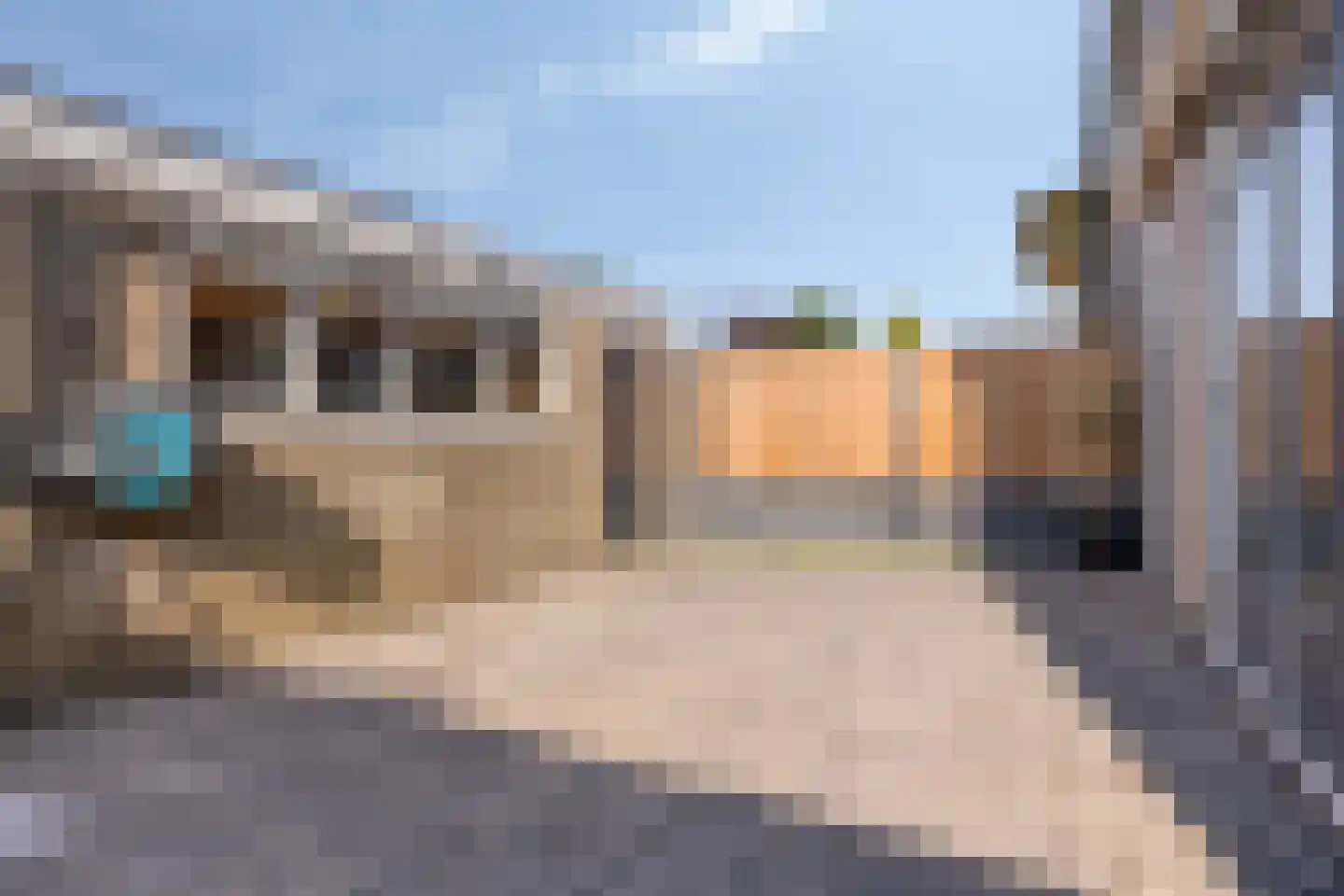 J M vd Lugt Melsertln 11 Vierpolders thumbnail 30