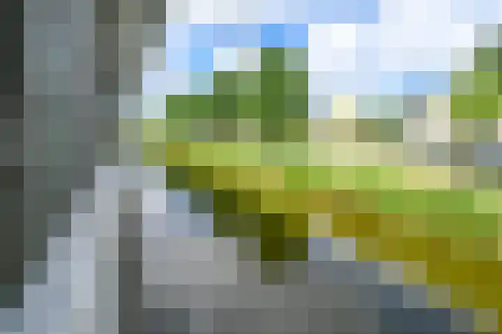 J. Michaëlpad 120 Velserbroek thumbnail 18