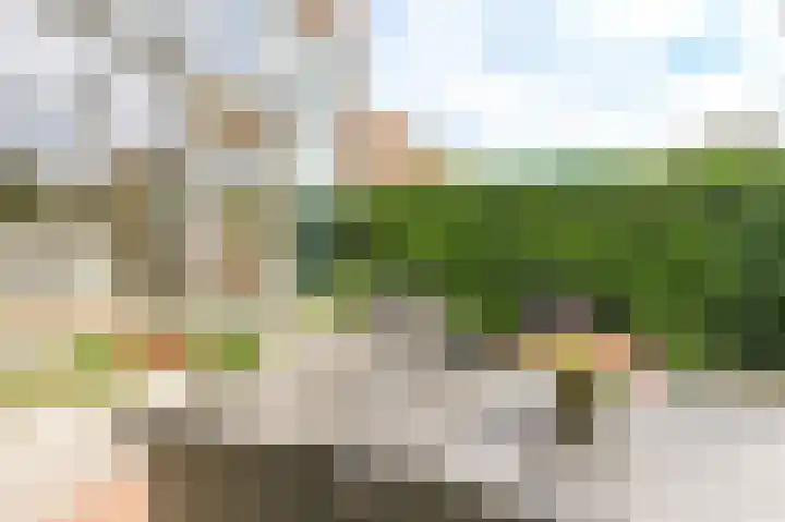 J. Michaëlpad 120 Velserbroek thumbnail 39