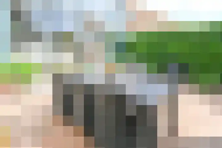 J. Michaëlpad 120 Velserbroek thumbnail 6