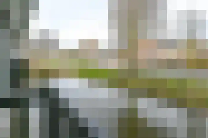 J. Michaëlpad 52 Velserbroek thumbnail 13