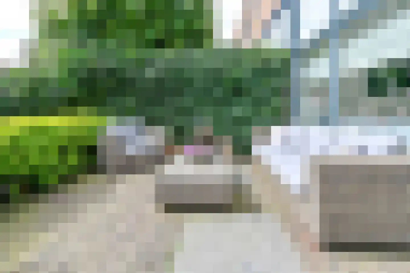 J. Michaëlpad 54 Velserbroek thumbnail 30