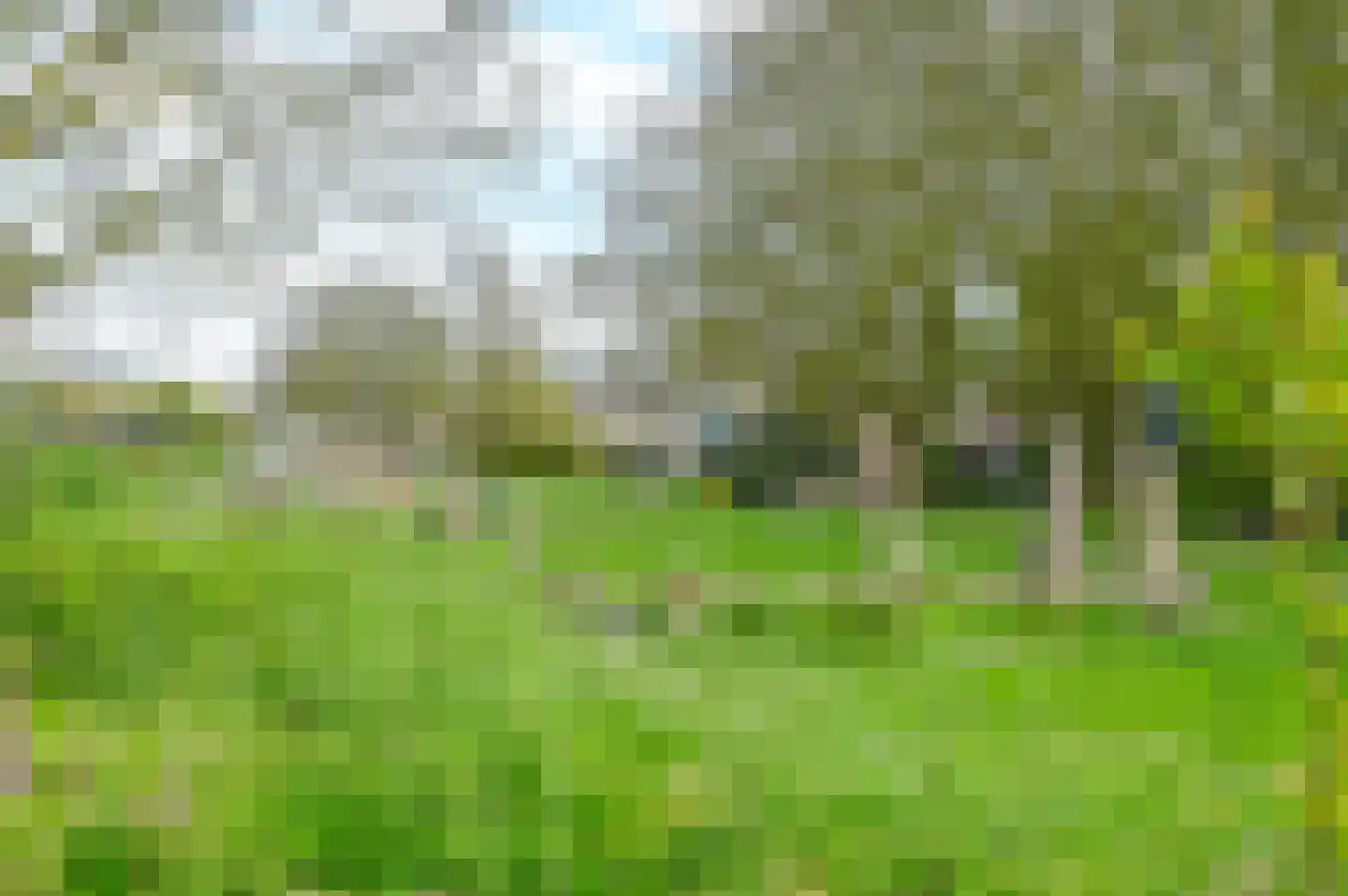 J. Michaëlpad 54 Velserbroek thumbnail 43
