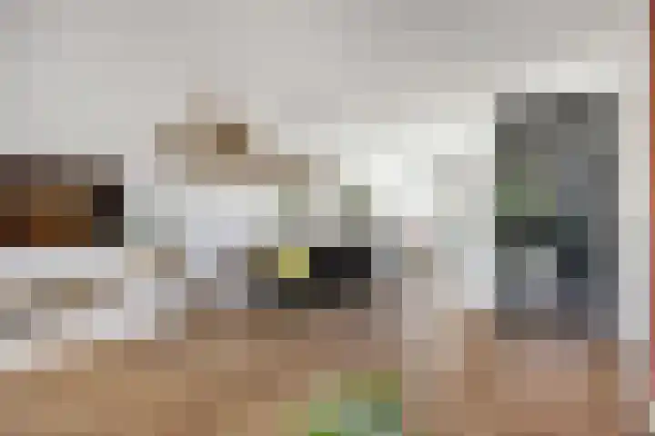 J. Noppenlaan 2 Heemstede thumbnail 11