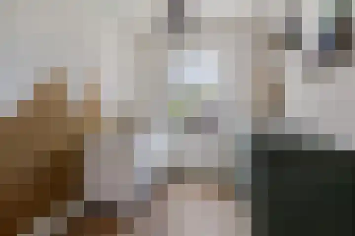 J. Noppenlaan 2 Heemstede thumbnail 19