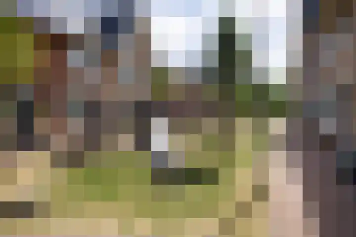 J. Noppenlaan 2 Heemstede thumbnail 27