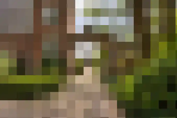 J. Noppenlaan 2 Heemstede thumbnail 28