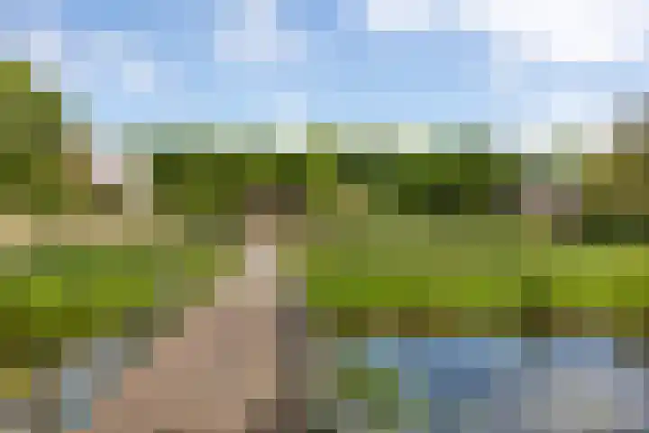 J. Noppenlaan 2 Heemstede thumbnail 29