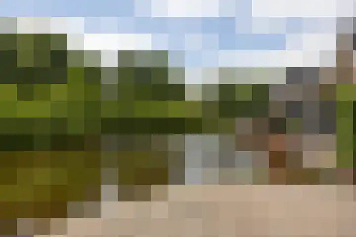 J. Noppenlaan 2 Heemstede thumbnail 30
