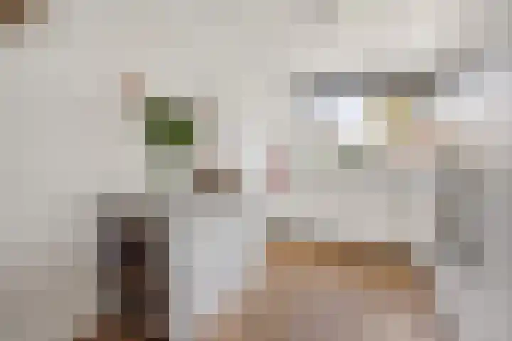 J. Noppenlaan 2 Heemstede thumbnail 4