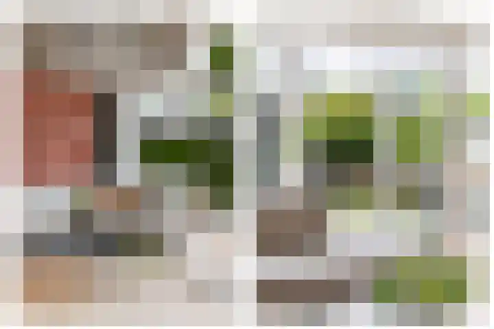 J. Noppenlaan 2 Heemstede thumbnail 6