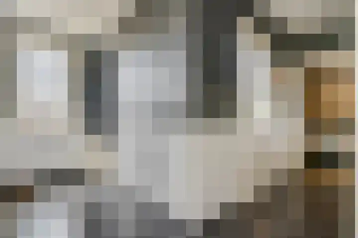 J.P.C. Leinweberstraat 2 Veenendaal thumbnail 30