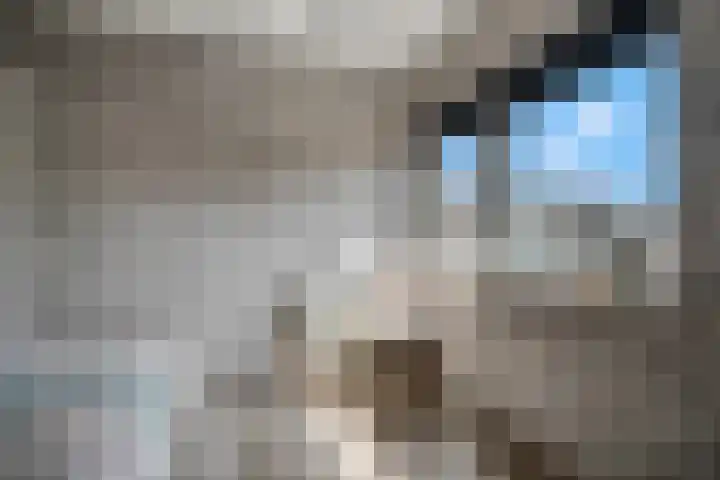 J.P.C. Leinweberstraat 2 Veenendaal thumbnail 32