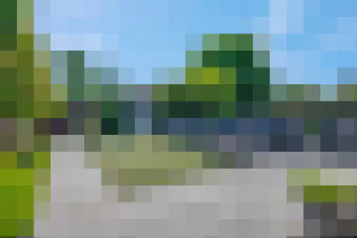 J.P.C. Leinweberstraat 2 Veenendaal thumbnail 4