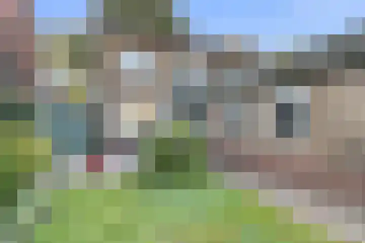 J.P.C. Leinweberstraat 61 Veenendaal thumbnail 4