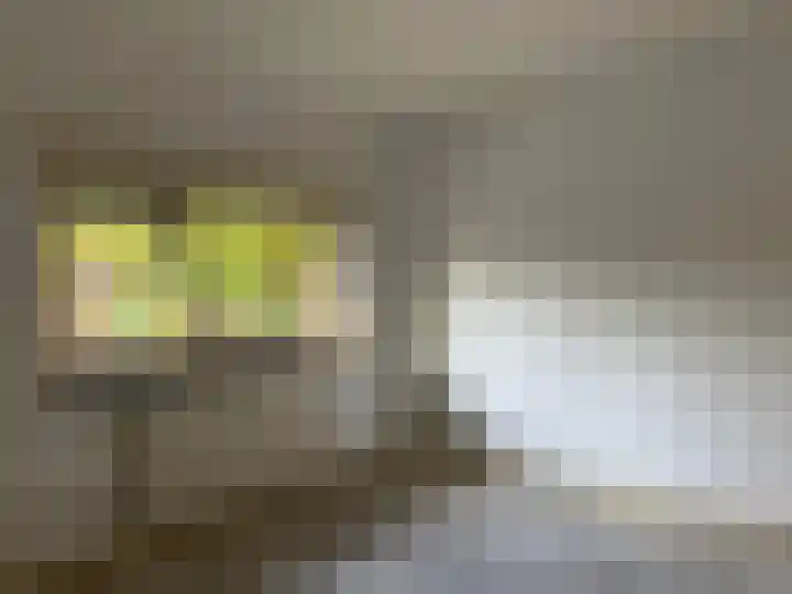 J.P. Coenstraat 16 Hilversum thumbnail 7