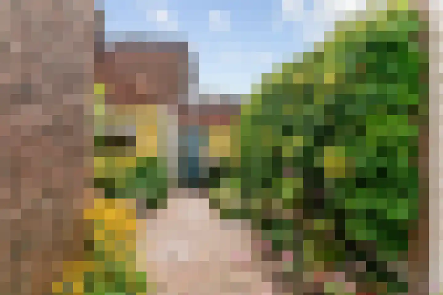 J.P. Coenstraat 62 Hoorn thumbnail 25
