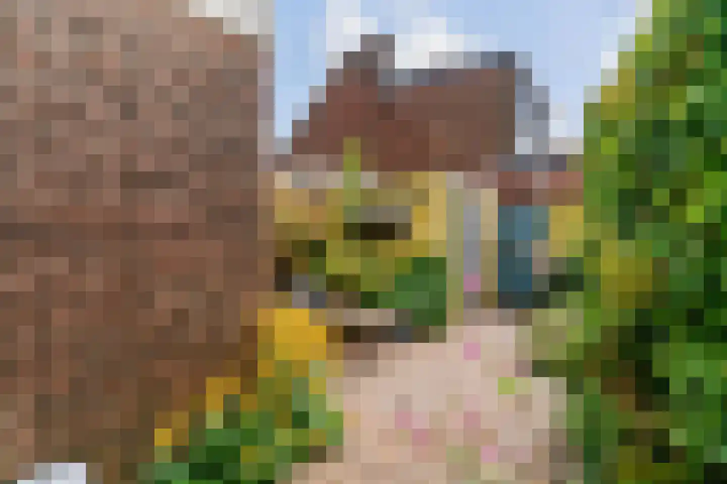 J.P. Coenstraat 62 Hoorn thumbnail 4