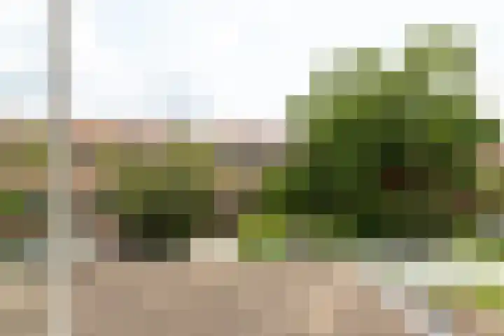 J.P. Coenstraat 81 Hilversum thumbnail 14