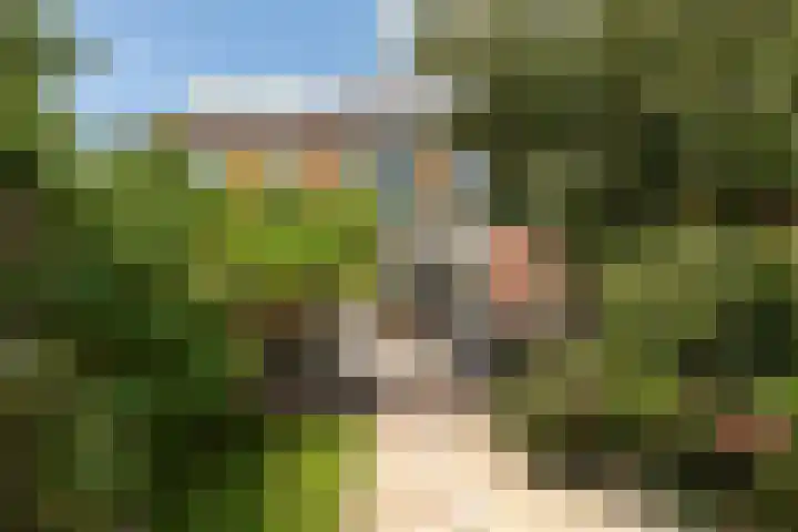 J.P. Coenstraat 81 Hilversum thumbnail 23