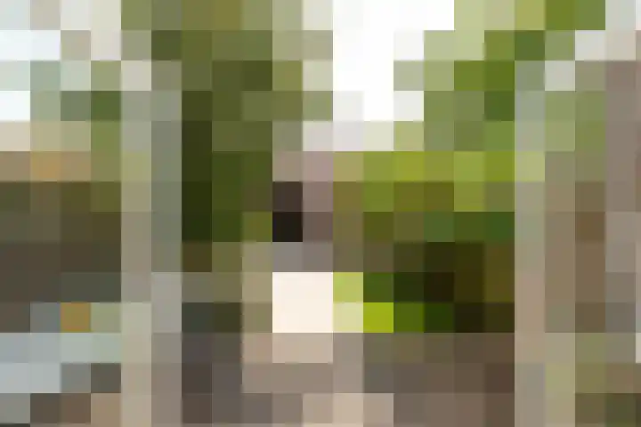 J.P. Coenstraat 81 Hilversum thumbnail 24
