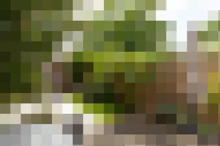 J.P. Coenstraat 81 Hilversum thumbnail 25
