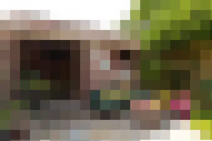 J.P. Coenstraat 81 Hilversum thumbnail 27
