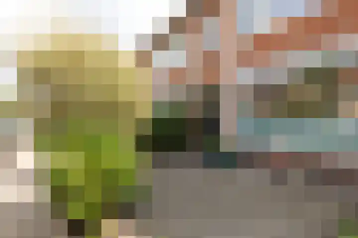 J.P. Coenstraat 81 Hilversum thumbnail 28